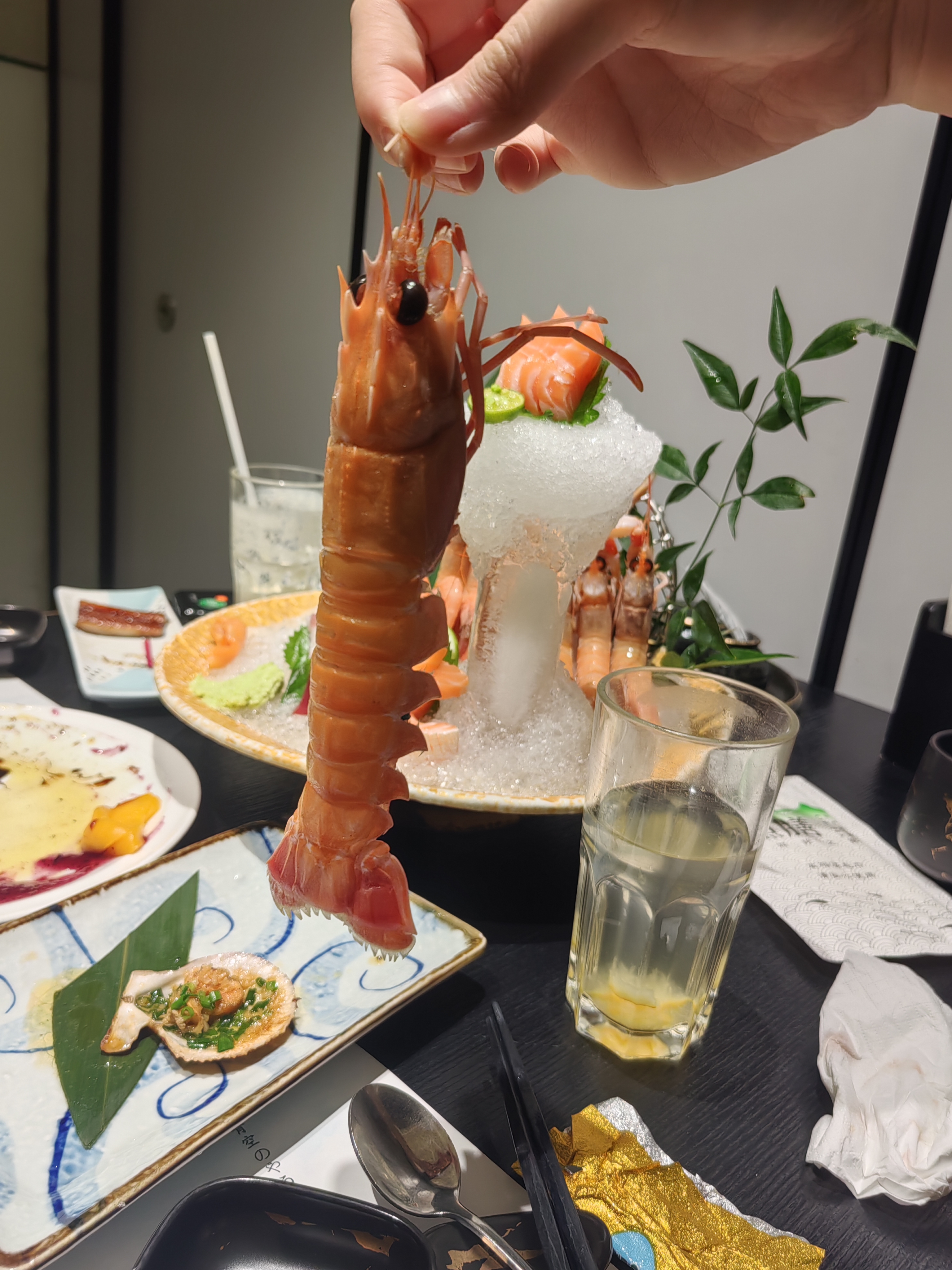 合肥6