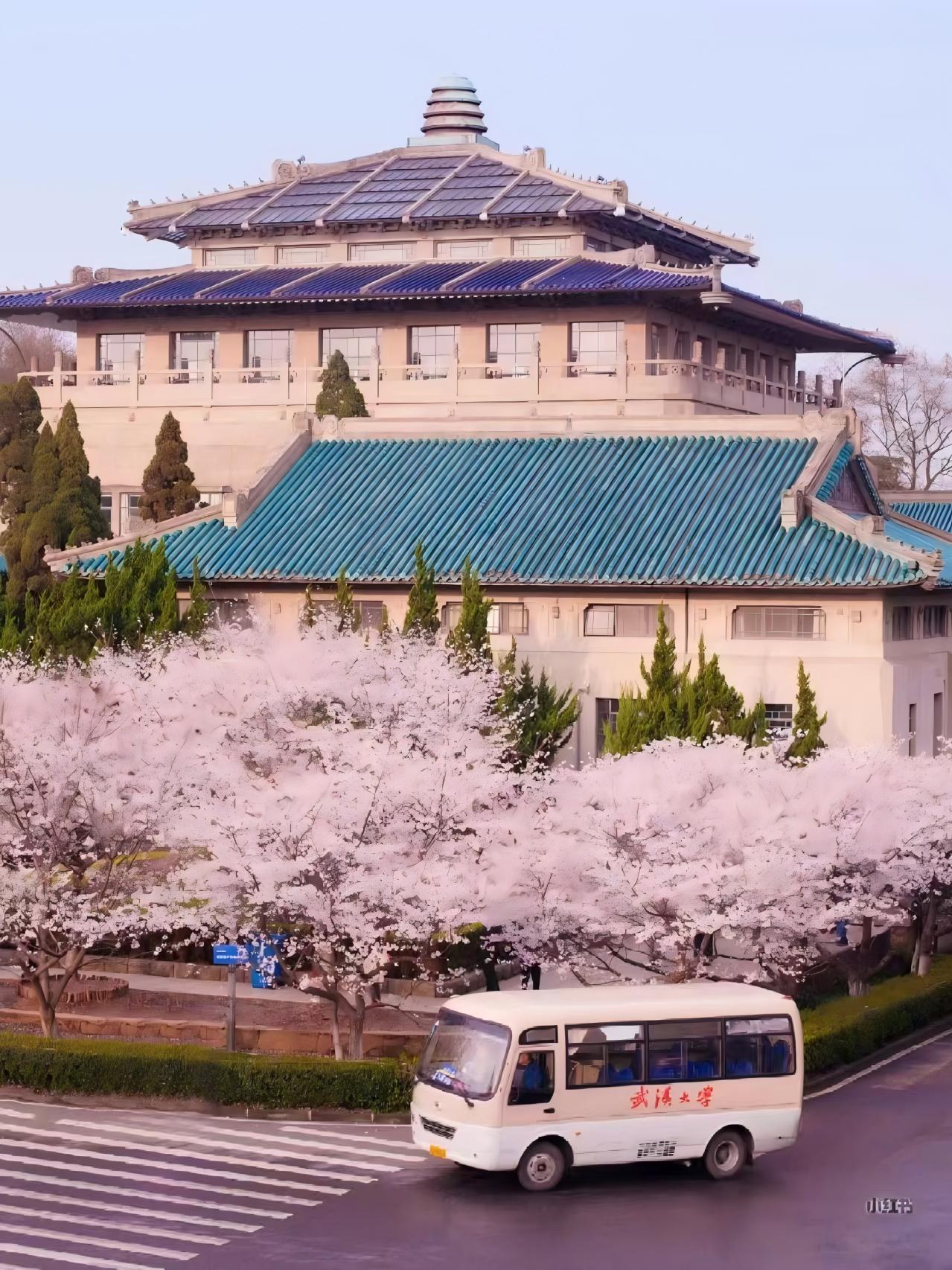 樱花林1