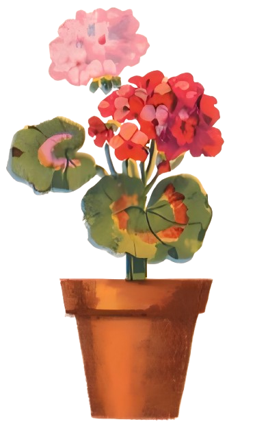 樱花林10