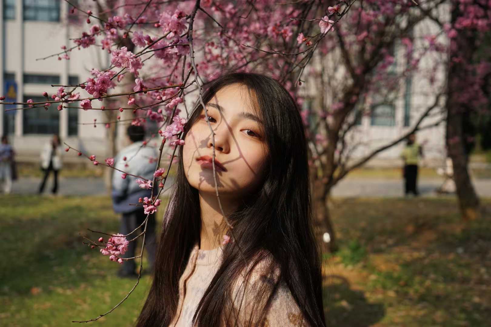 樱花林4